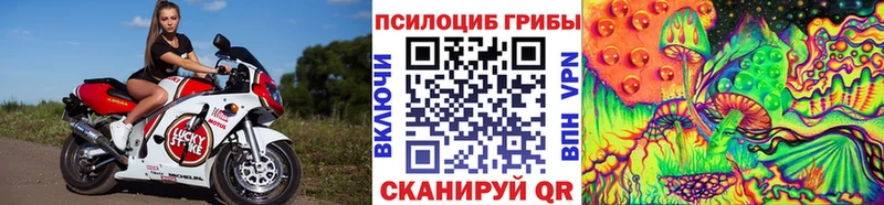 Псилоцибиновые грибы Psilocybe Дедовск