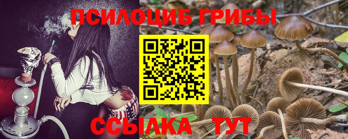 Галлюциногенные грибы MAGIC MUSHROOMS Дедовск