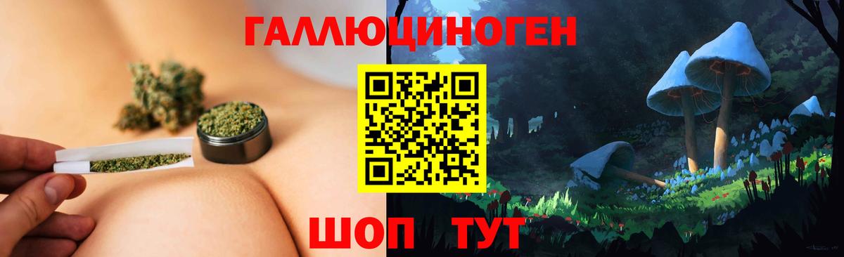 Дедовск  Галлюциногенные грибы прущие грибы  Вход с VPN 